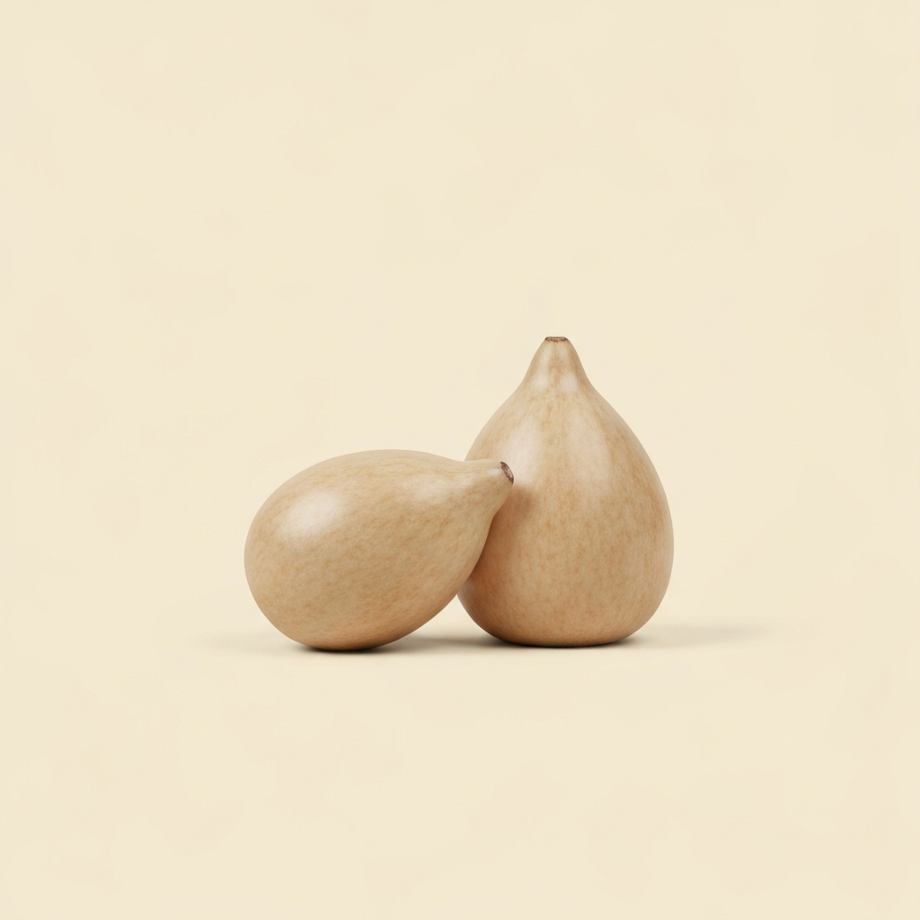 그의 손끝이 내 무릎을 열 때, 나는 10살 뒤로 물러난다