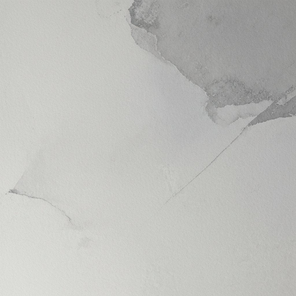 결혼 후 숨겨왔던 아내의 몸, 그림자에서 나타난 진실